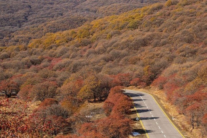 Oktyabrın 11-də gözlənilən hava şəraiti