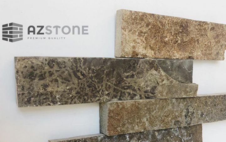 “Məcburuq ki, işçiləri azad edib fəaliyyətimizi dayandıraq” - ŞİRKƏT DİREKTORU