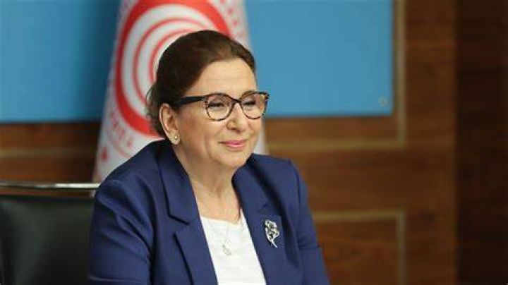 "Türkiyə 2020-ci il ixracını tarixi bir rekordla bağlayıb"