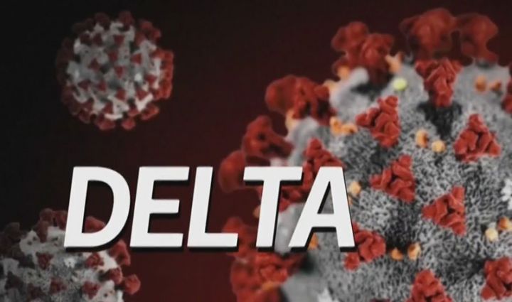 "Sentyabr-oktyabrda "Delta" ştammı ilə bağlı özümüzü qorumalıyq"