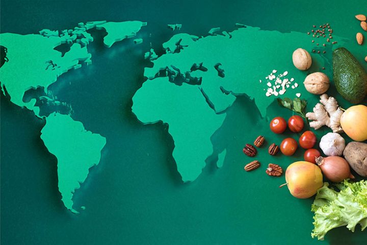 Ərzaq təhlükəsizliyi təhlükə altındadır? - MÜSAHİBƏ