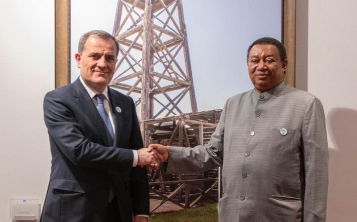 Azərbaycanla OPEC arasında əməkdaşlıq müzakirə edilib