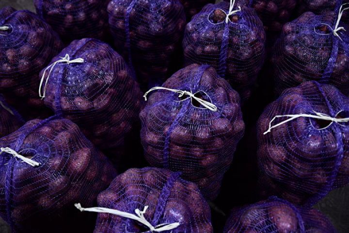 Rusiyanın 2022-ci ildə 18 milyon tona qədər kartof yığacağı gözlənilir