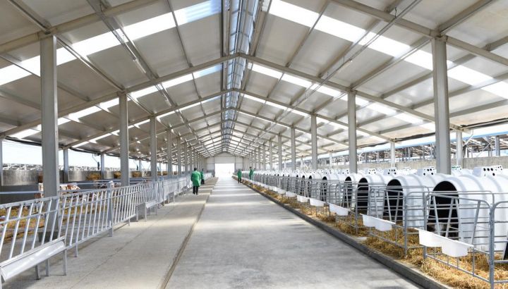 "Yalama Aqropark"da 1350 baş bala əldə edilib