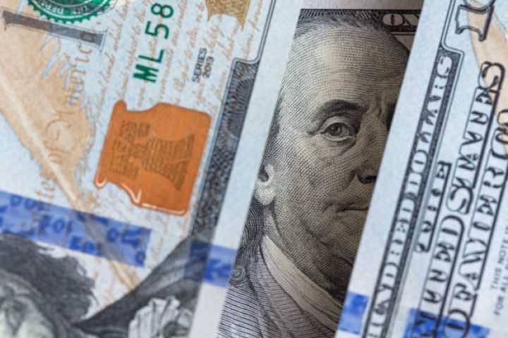 "PAŞA Bank" hərraclarda satılan dolların beşdə birini alıb