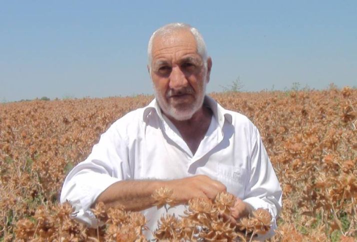 "Məhsulun yığımında çətinlik çəkdik"