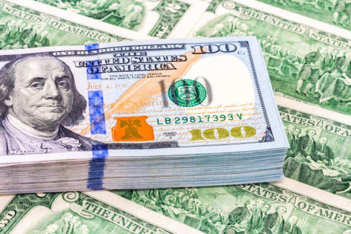 "738,7 milyon dollarlıq xüsusi satışın 76,4%-ni Mərkəzi Bank, 23,6 %-ni Neft Fondu təmin edib"