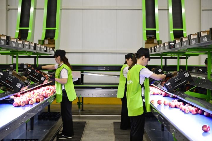 Layihə dəyəri 18 milyon manat oaln bu kompleks ilboyu meyvələr satır