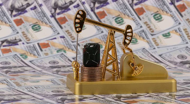 Bu il Azərbaycanın xam neftinin qiyməti 16 dollar daha aşağı olub