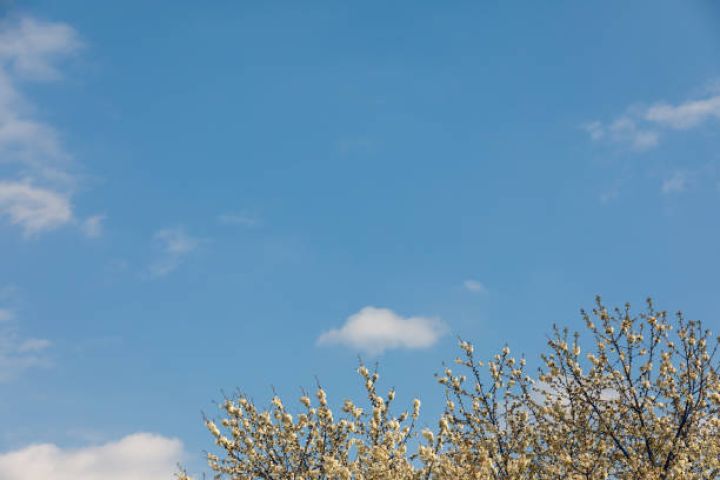 Bölgələr üzrə sabahın hava proqnozu açıqlanıb