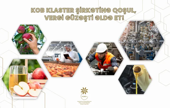 İki KOB klaster şirkətində 20-dən çox KOB birləşəcək