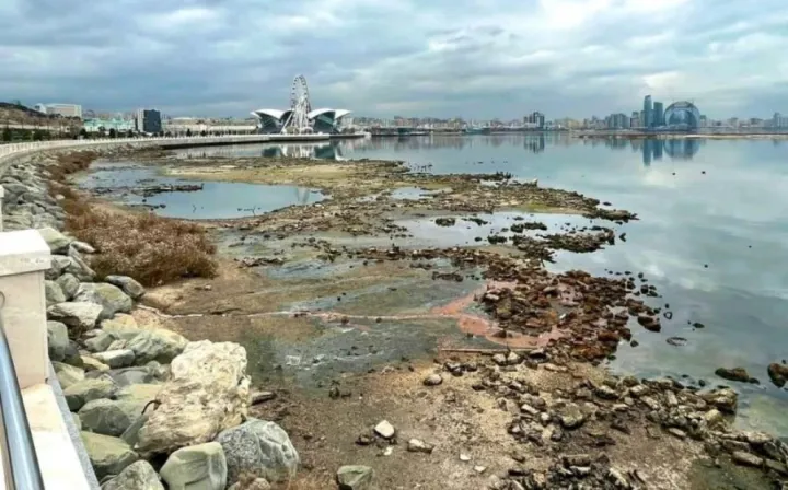 Son dörd ildə Xəzər dənizinin səviyyəsi 24 sm azalıb