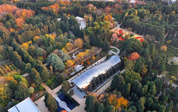 “Mərkəzi Nəbatat və Dendrologiya Bağı” MMC yaradılır